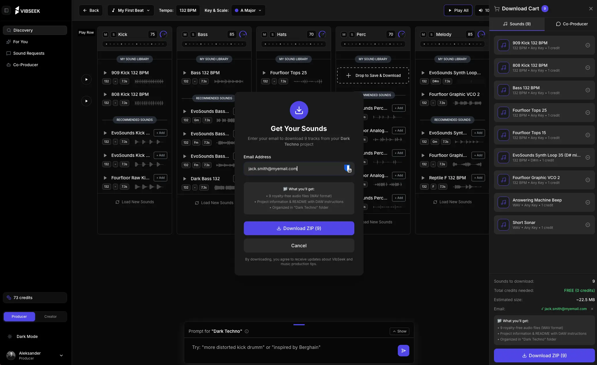 Vibseek Download Interface